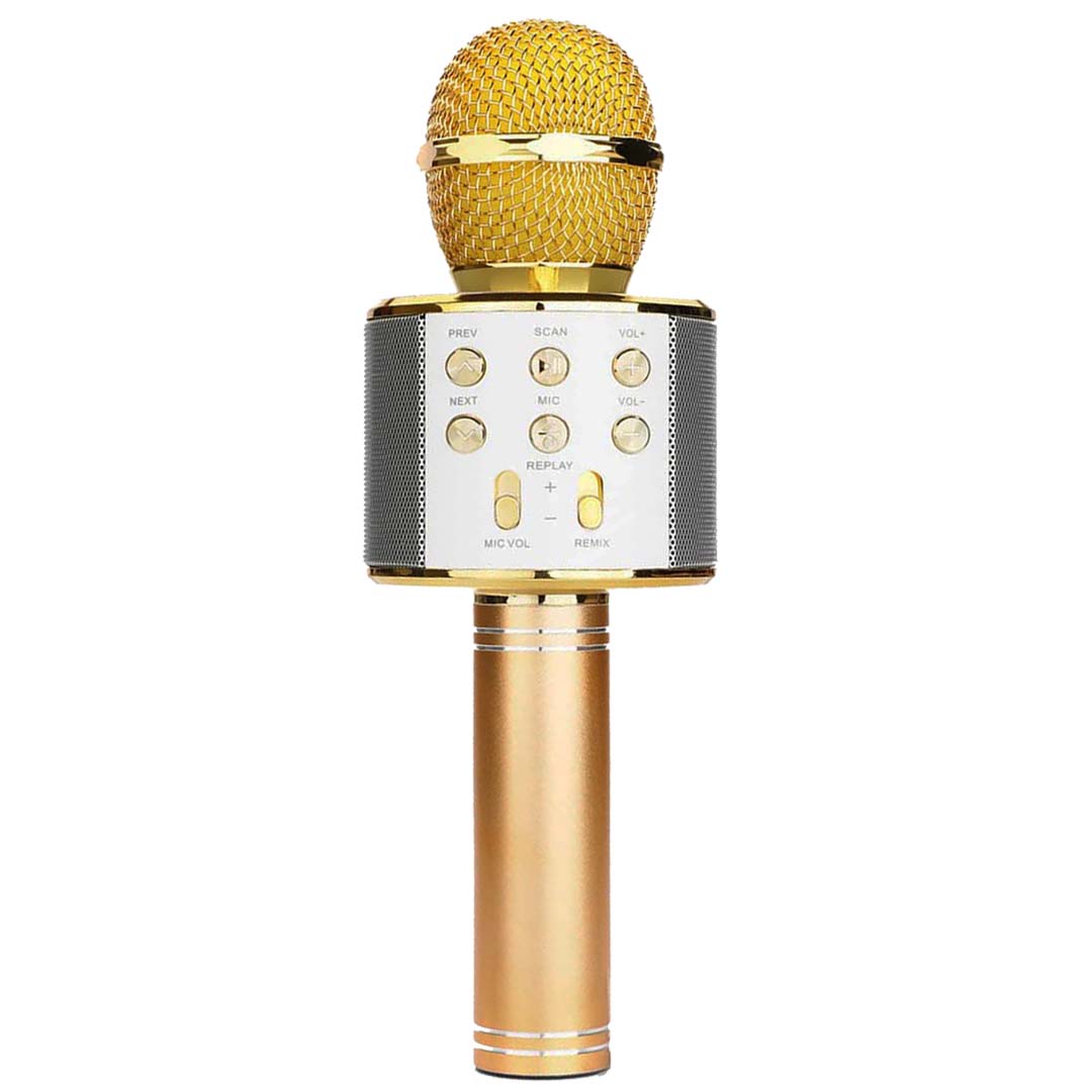 Micro karaoke et haut parleur bluetooth – Cheapshop