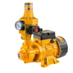 Pack pompe automatique 1hp-10bar jauge ingco