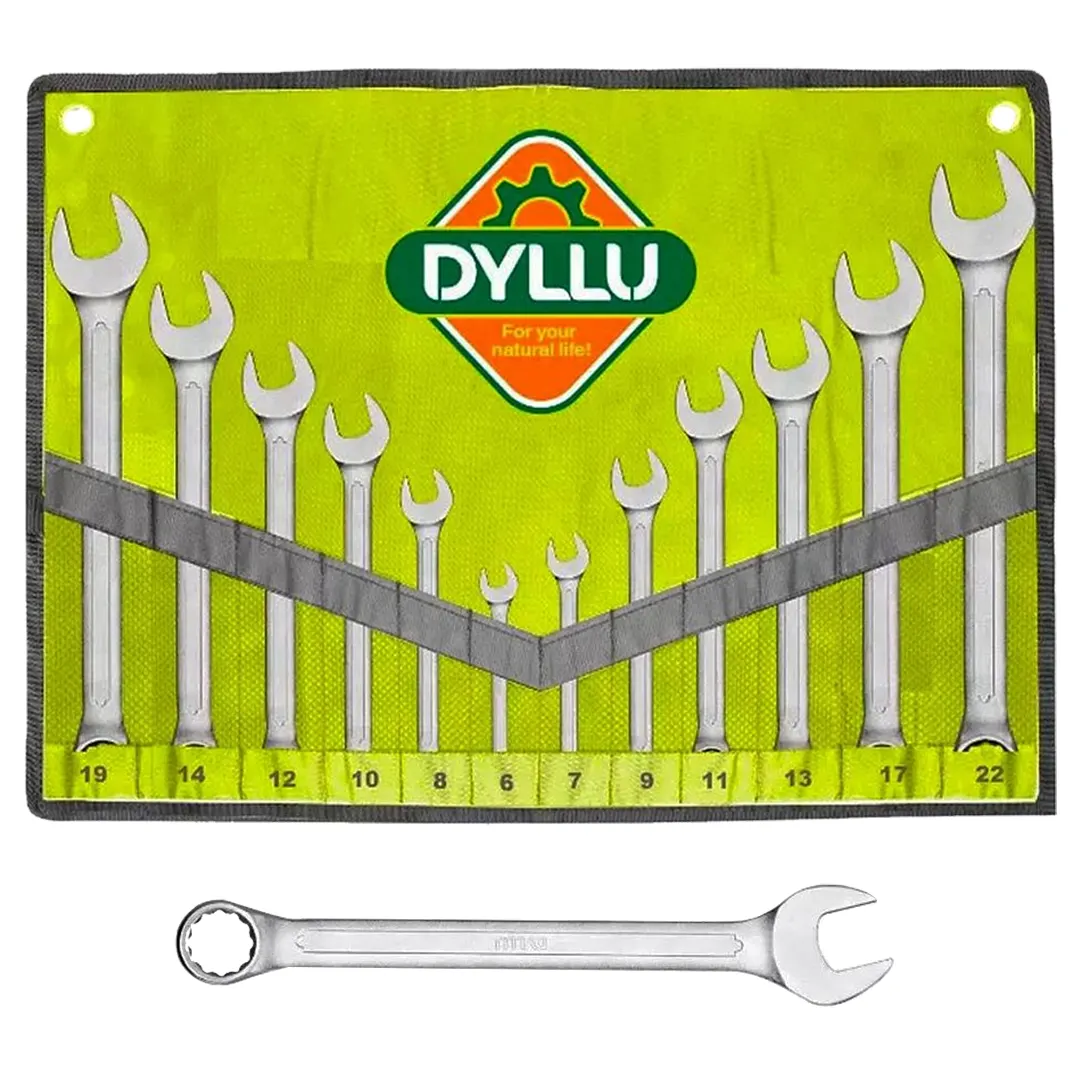 CLES-MIXTES-DYLLU-12PCS.webp Cles mixtes dyllu 12pcs – Image 1